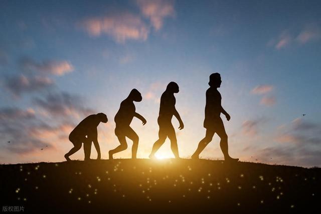 AI的爆发会不会让人类的大脑退化，最新研究试图揭开真相