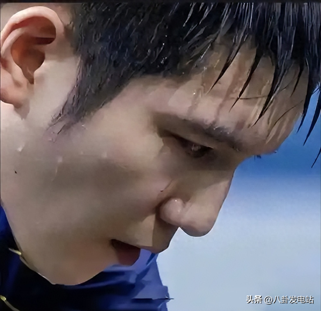 夺冠还不到24小时	，恶心的事出现了，原来樊振东和陈梦的处境一样