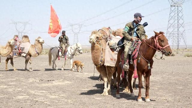 126天穿越数千公里，驼队已到河南！“洛阳不是终点”，队长蒋晓亮决定“加更”