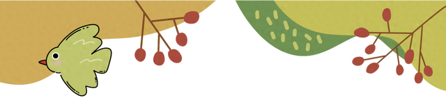 藏在西充城里的“芙蓉秘境”！千余亩美景承包你的秋日浪漫