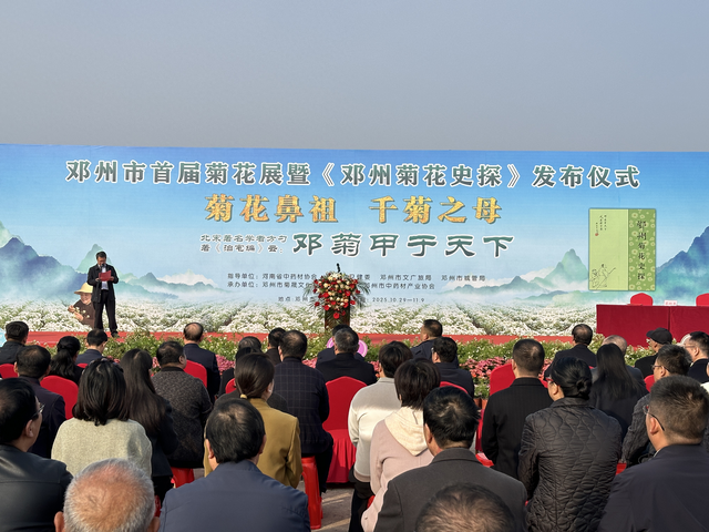 邓州菊展启幕：赏非遗品药香 “一朵菊”带动多元产业