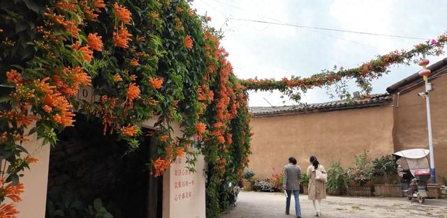 一墙诗情画意，半日烟火人间！走进雁塔村，点燃深秋的浪漫与闲适~