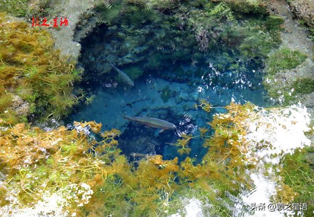 日本的九寨沟，富士山下忍野八海