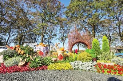 临江仙公园：花境盛景迎客来