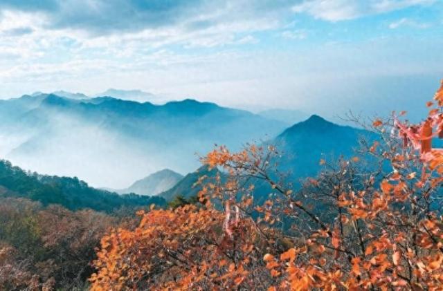 层林尽染 秦岭如画