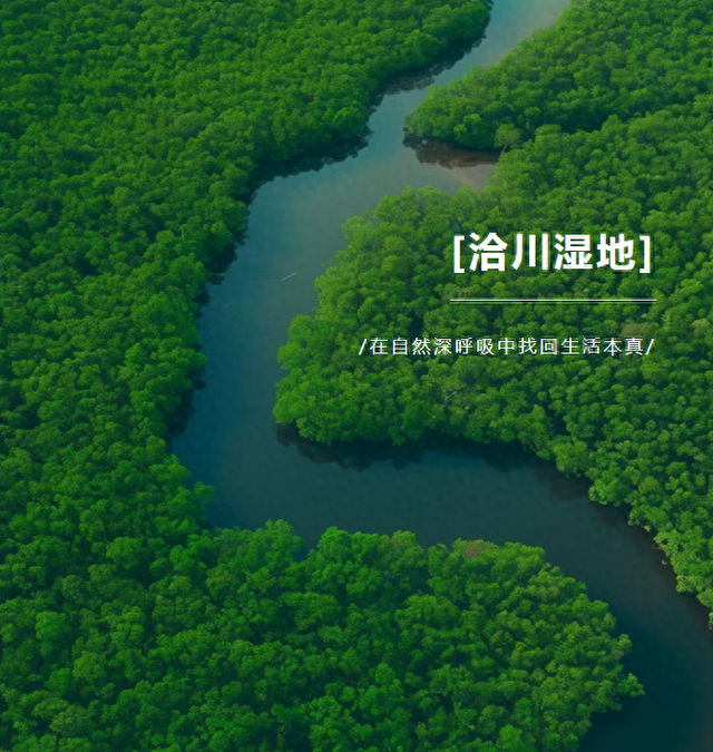 洽川湿地，在自然深呼吸中找回生活本真
