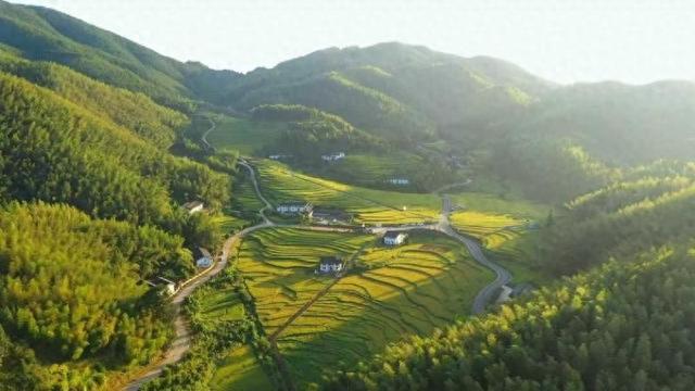 江西崇义：梯田稻浪金黄 国庆观赏正当时