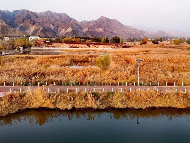 深秋太极岛：芦花漫舞，群鸟蹁跹