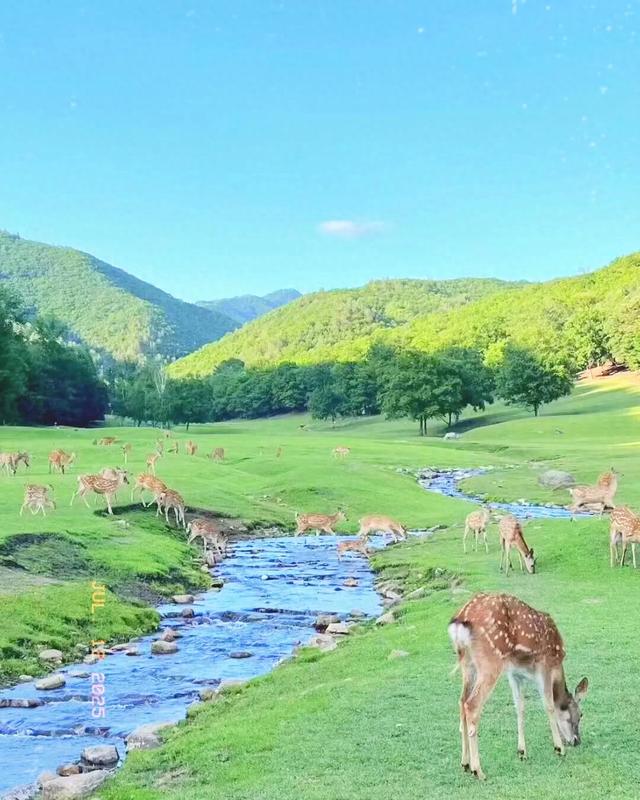 夏天适合游玩的旅游路线