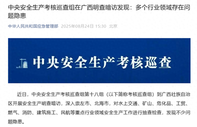 全民国家安全教育日观后感心得体会（中央安全生考核巡查组发现的问题隐患）