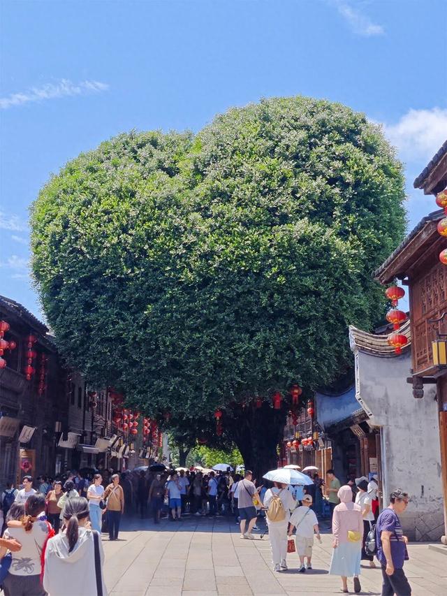 福州宠你“一辈子”！10000份马克杯怎么领？细则戳→