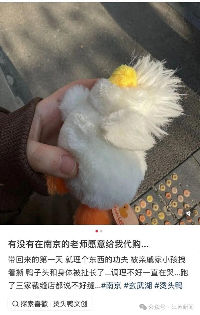 你从未远去，“烫头鸭”背后的温柔守护