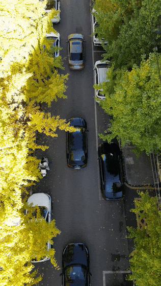 余庆的初冬，就藏在这些地方！