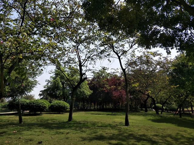 川黔滇4日自驾游（一）：一个生日启动的旅行，富顺豆花蘸水难忘