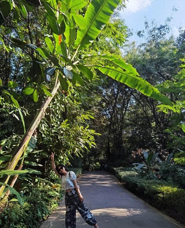不输亚马逊，媲美非洲刚果，中国的热带乐园正上演“冬天的诱惑”