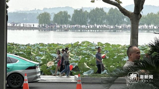 假期首日，第三方平台显示：浙江整体旅游订单量同比去年增长36%