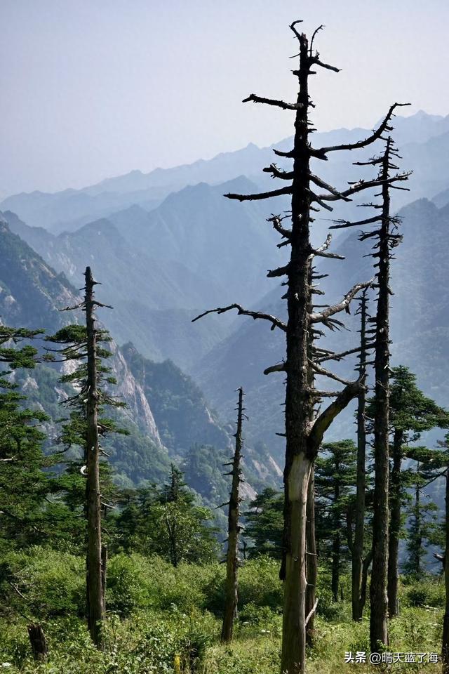 为何不建议走野路？探秘秦岭之巅冰晶顶——风险远超想象!