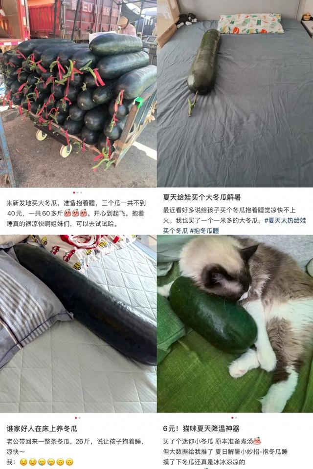 突然火了！20多斤一个，一天能卖25吨！“没现货，要预订”