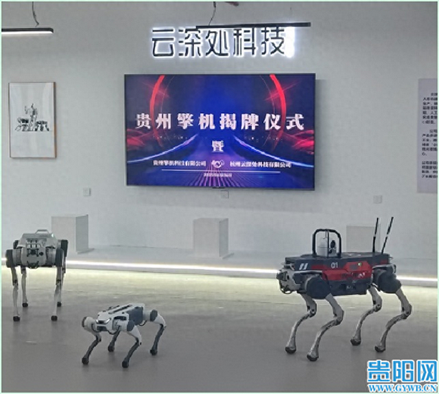 【2025数博会】机器人山猫、绝影Lite3等将“上岗”2025数博会