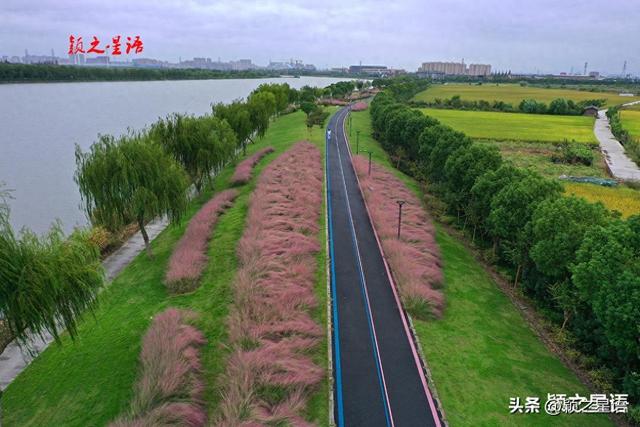大西坝：粉黛烂漫，赏江景，游古村