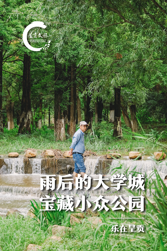 满屏清新！昆明的这个小众公园私藏了一片绿洲