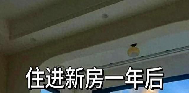 2025年11月17日 第5页