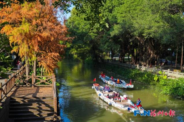 最佳游览时间约半个月！福州这里迎来醉美冬季观赏期