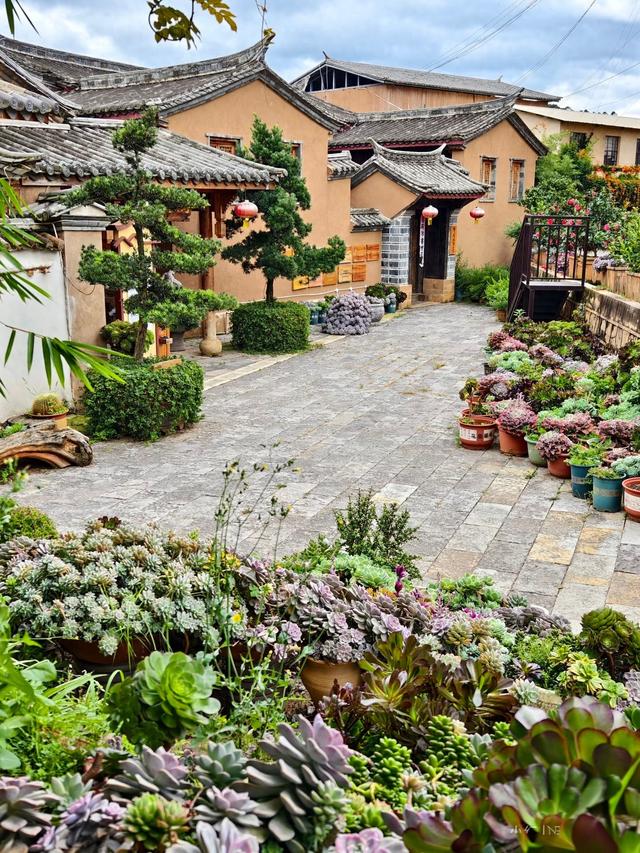 百年花巷古村，品红梨，捏瓦猫，偷闲半日