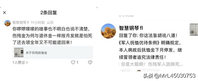 关于伤残抚恤金的补充