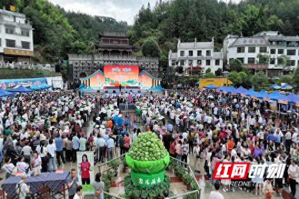 桂东县：文旅康养撑起幸福小城