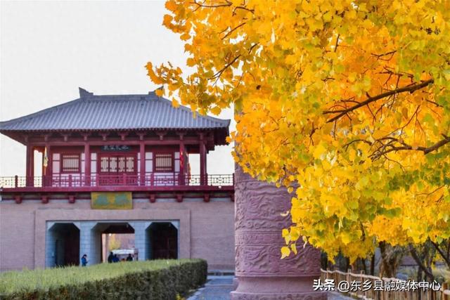 胡杨：边塞秋景里的绚烂