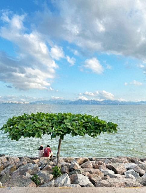 夏季海边旅游景点推荐（长假去看海）