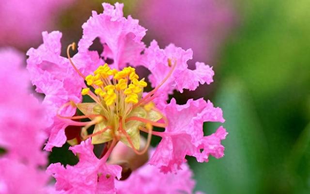 情感爆文：遇见，没有早晚	，没有对错；缘份，没有长短，只有珍惜