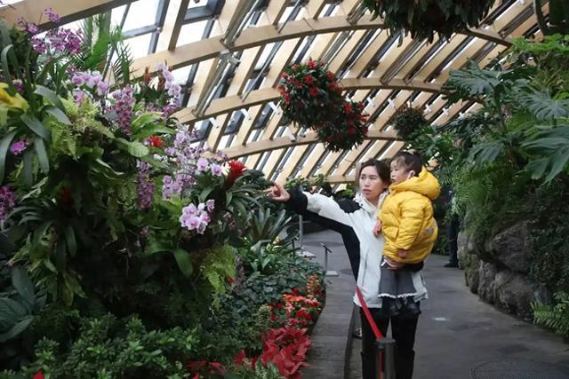 太原植物园四季花卉馆内鲜花绽放