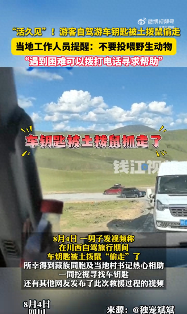 游客自驾游车钥匙被土拨鼠偷走，当地回应：确有此事，挖了一个多小时的洞，才找到车钥匙