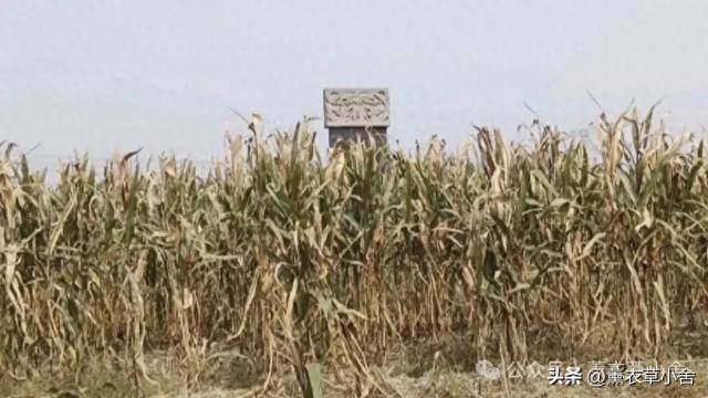 焦作这古村绝了！古迹遍地还藏两姓发源地