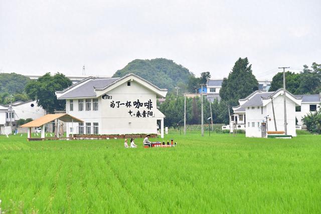 逃离城市计划：来这里玩包快乐的