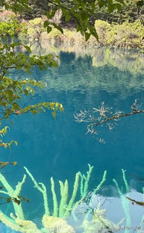 在九寨沟旅游，花300元请了个野生导游，结果却一言难尽