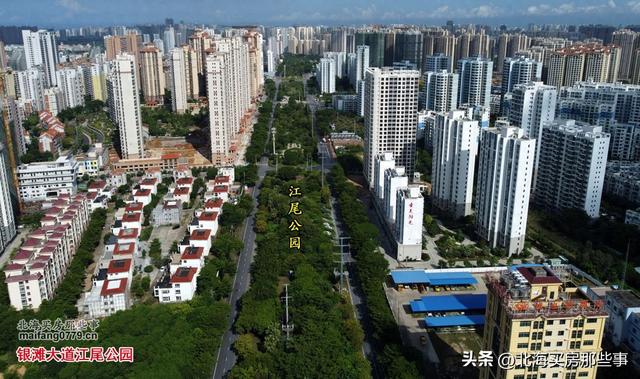 逐个数一数北海现在颇有名气的越冬旅居“候鸟乐园”