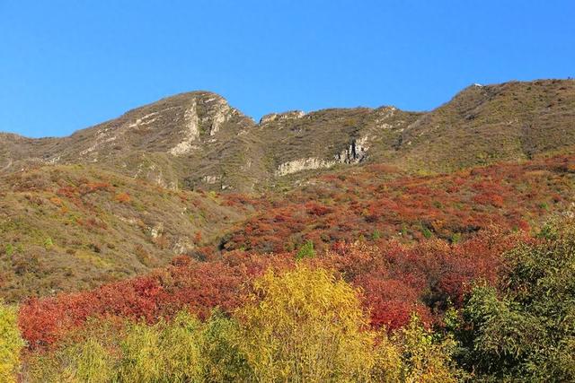 燕谷犹在，秋意正浓：李白诗里的舞彩浅山什么样？