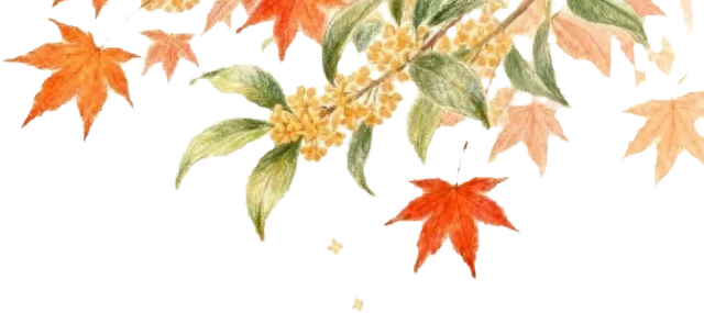 超美打卡攻略来啦！秋染道前街，追寻林则徐苏州印记