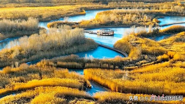 好美！张掖黑河湿地冬日披金景色如画