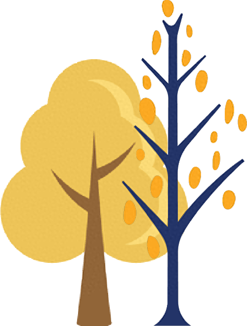 不必扎堆赏红，全市推出14处金秋彩叶观赏地