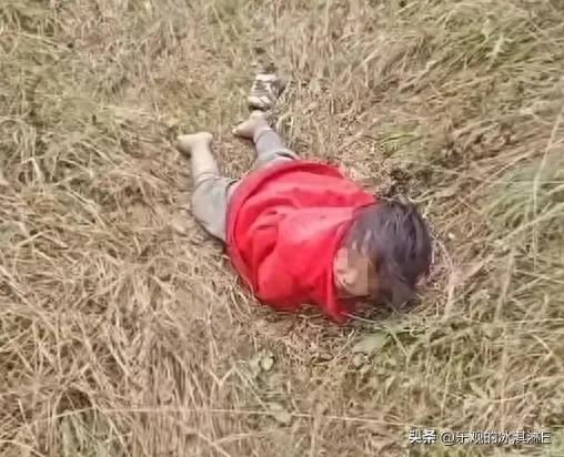 辽宁4岁女童走失新后续：院内监控流出：这才是她活下来的关键！