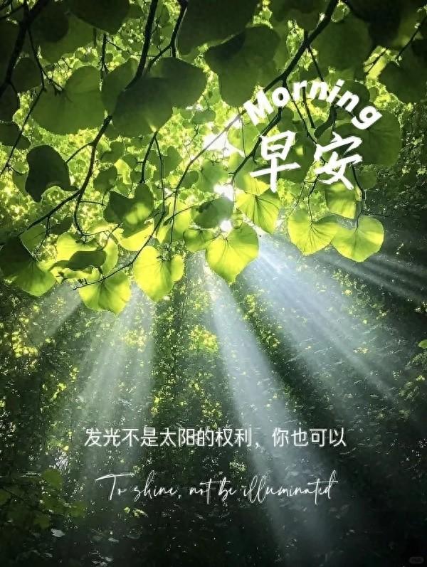 新的一天新的开始说说（早安心语 新的一天）