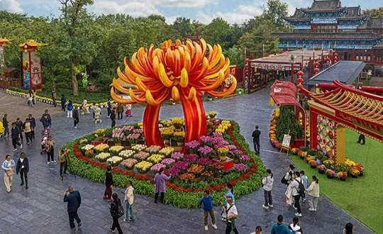 簪菊煮茶 手把手教你当一天“宋朝人”