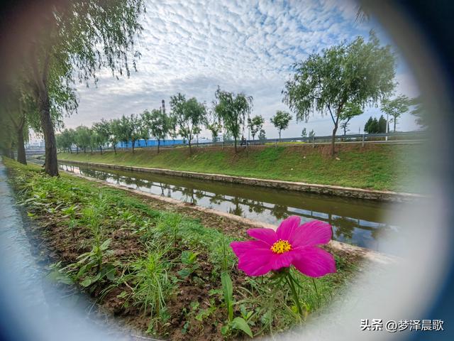 云梦初夏好风光，秦皇河畔醉田园