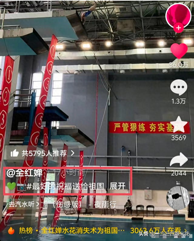 泳坛动态，10月2日下午，泳坛传来全红婵、陈芋汐的消息