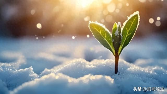 穷游，为何成为时代新宠