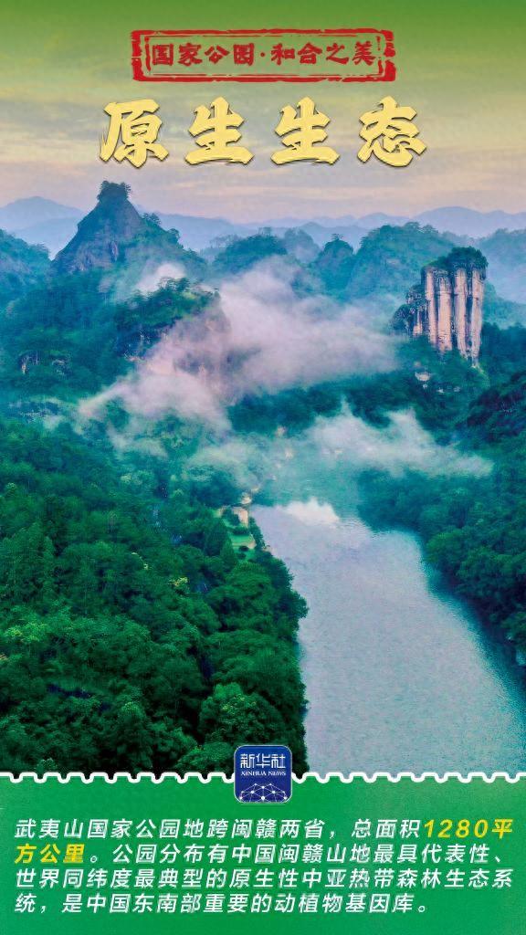 和合之美丨武夷山国家公园：“会呼吸”的诗意乐园
